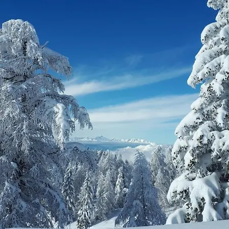 Hisa V Mesecini - Moonlight House Cerklje na Gorenjskem