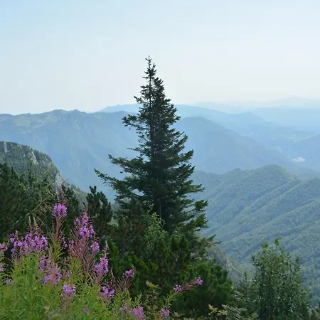 Hisa V Mesecini - Moonlight House Cerklje na Gorenjskem