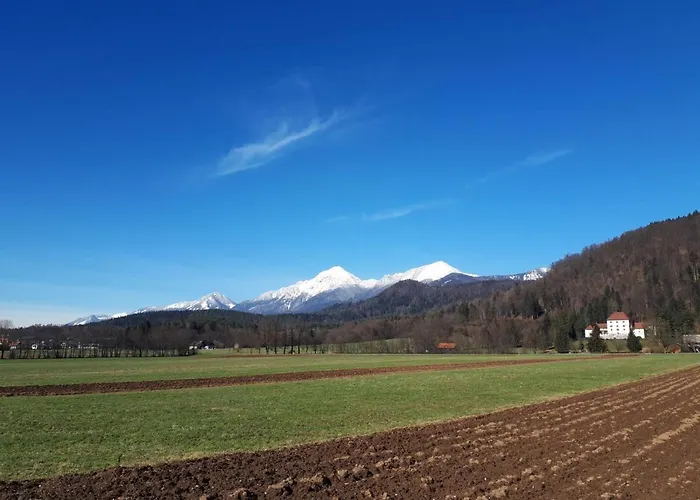 Hisa V Mesecini - Moonlight House Casa vacanze *