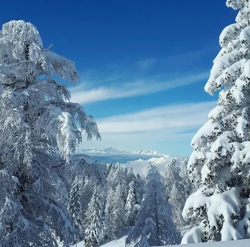 Hisa V Mesecini - Moonlight House Cerklje na Gorenjskem