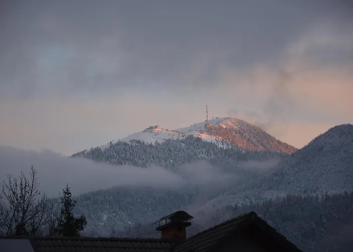 Hisa V Mesecini - Moonlight House Casa vacanze *