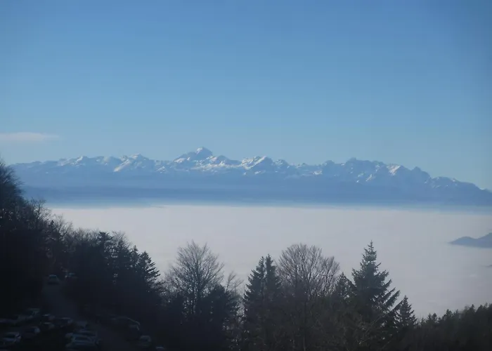 Hisa V Mesecini - Moonlight House ツェルクニェ・ナ・ゴレニスケム