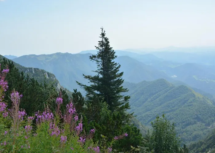 Hisa V Mesecini - Moonlight House ツェルクニェ・ナ・ゴレニスケム