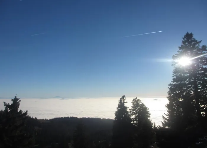 Hisa V Mesecini - Moonlight House * ツェルクニェ・ナ・ゴレニスケム