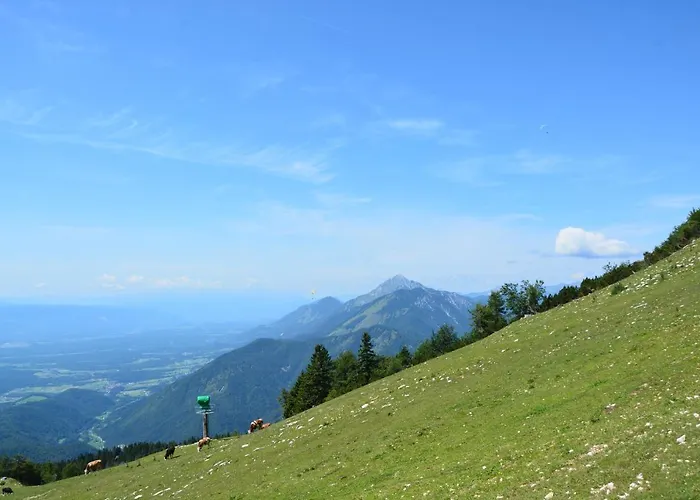 Hisa V Mesecini - Moonlight House Casa vacanze *